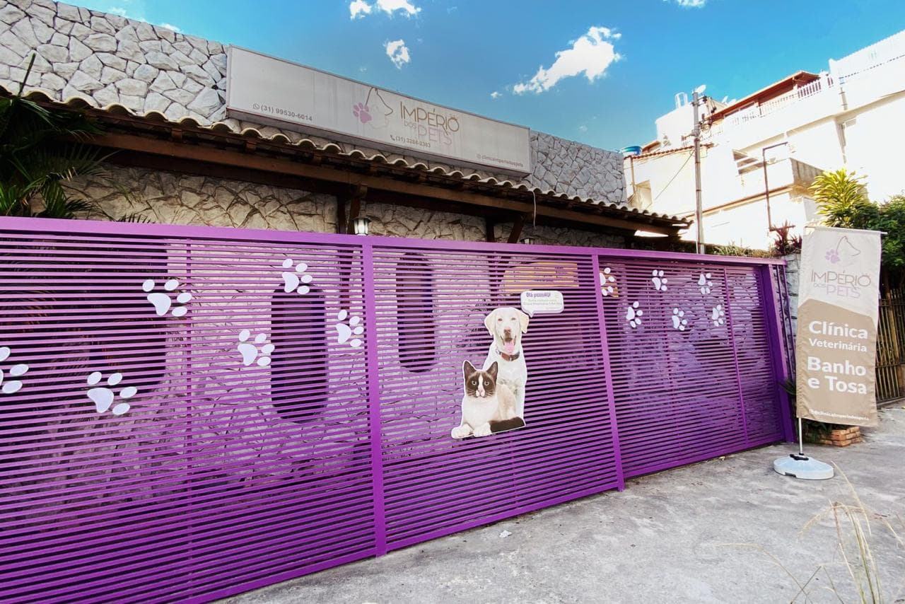 Animal de estimação 5