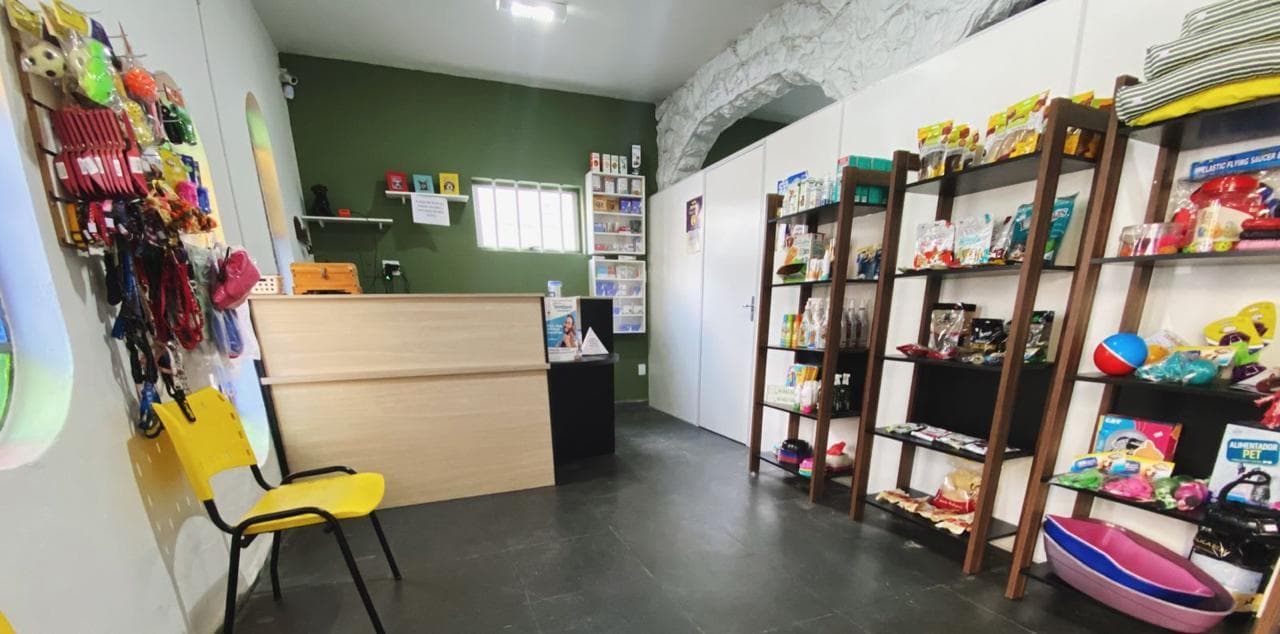 Animal de estimação 6