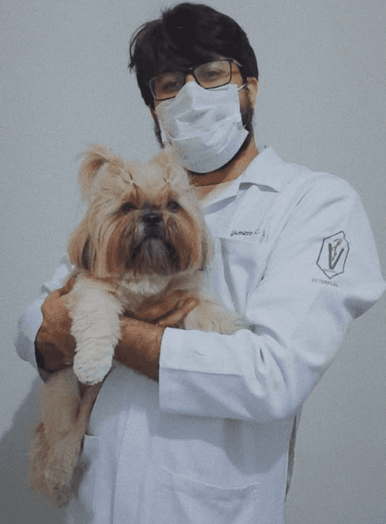 Animal de estimação 3