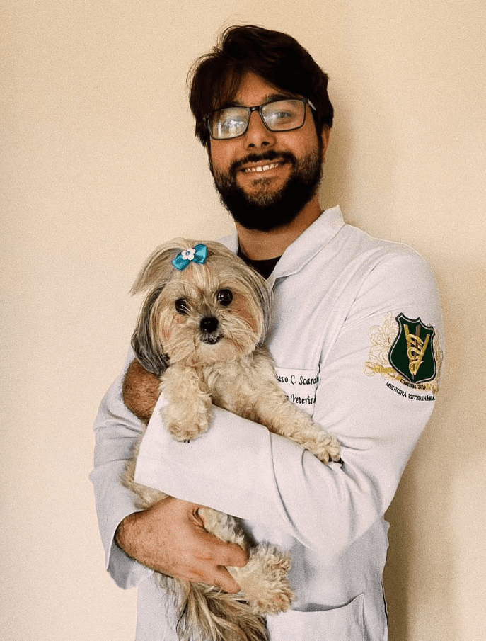 Cachorro e gato sorrindo